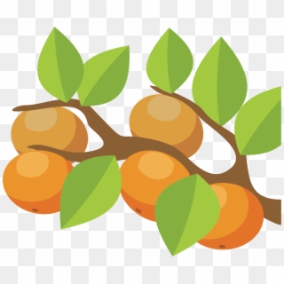 Orange Fruit Clipart Orange Tree - Clipart Orange Tree - Png Download