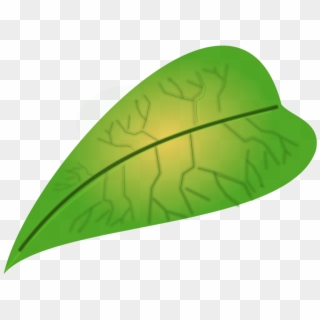 Jungle Leaves Clip Art - Apple Leaves Clip Art - Png Download