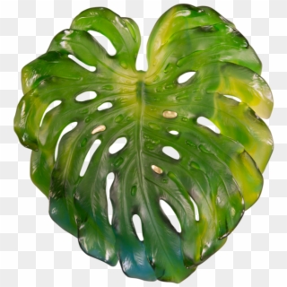 Tropical Green Png - Monstera Png Clipart
