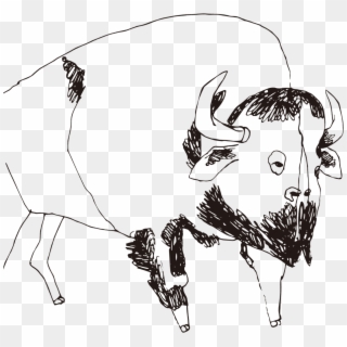 Buffalo - Sketch Clipart