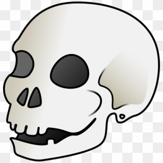 Skull Bone Clipart - Skull Clip Art - Png Download