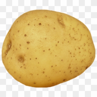 24 Ounce - Vegetable Potato Clipart