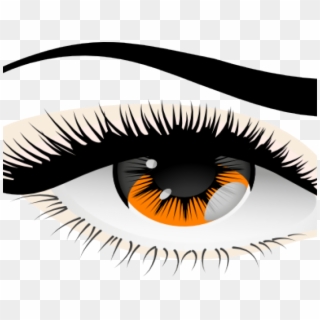Brown Eyes Clipart Human Eye - Transparent Background Png Lashes