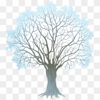 Stock Vector Winter Tree 330kb - Winter Tree Clipart Png Transparent Png