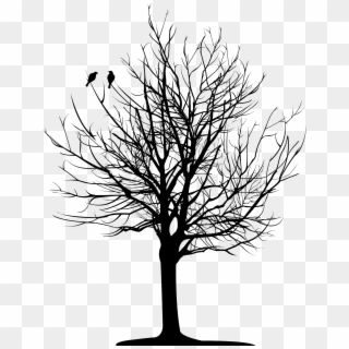 Bare Tree , Png Download - Bare Trees Black And White Clipart