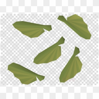 Banana Leaf Clipart Bigleaf Maple Old School Runescape - Shoes For Men Png Transparent Png