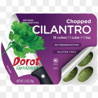 Dorot® Gardens Cilantro Offer - Herb Clipart