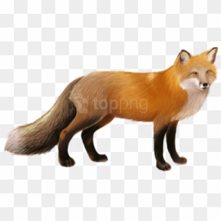 Free Png Download Fox Png Images Background Png Images - Fox Png Clipart