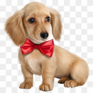 Cute Puppy Dogs - Cute Golden Compass Png Clipart