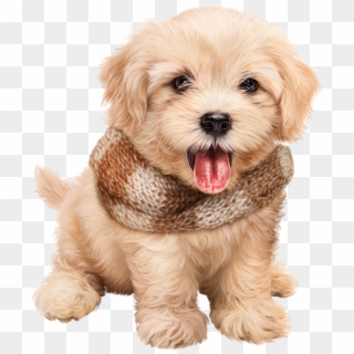 #cute #puppy #dog #adorable Clipart