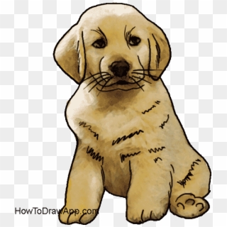 How To Draw A Cute Puppy Dog - Golden Retriever Clipart
