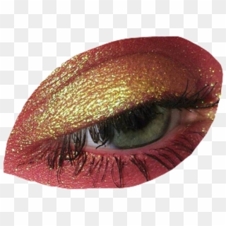 #moodboard #filler #png #eye #makeup #interesting #niche - Eye Shadow Clipart