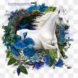 White Horse - Presença De Deus Clipart