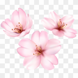 Spring Blooming Tree Flower Png Clip Art Image Transparent Png
