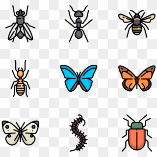 Insects - Insects Png Clipart
