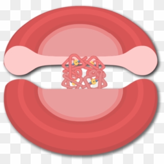 Stock Transport Of Oxygen In The Hemoglobin Molecules - Red Blood Cell Clipart
