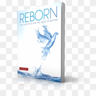 Reborn - Leader Guide - Graphic Design Clipart