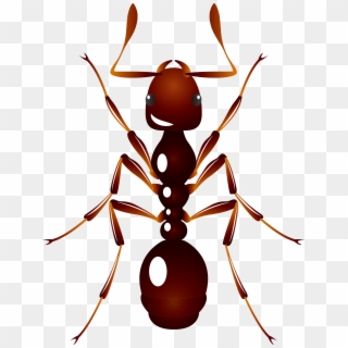 Ant U6606u866b U8682u8681 Insect - Ant Clipart
