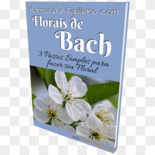 Harmonia E Equilíbrio Com Florais De Bach - Black And White Flower Photography Clipart