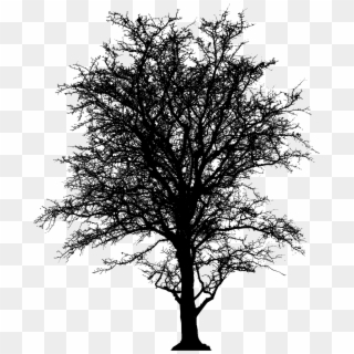 This Free Icons Png Design Of Leafless Barren Tree Clipart