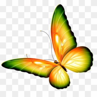 Butterfly Clipart With Transparent Background - Png Download