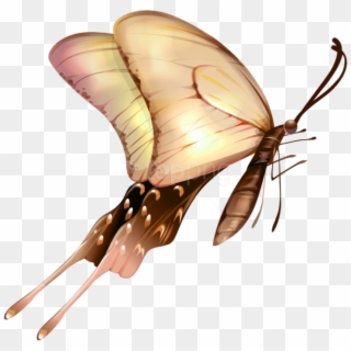 Free Png Images - Butterfly Transparent Clipart