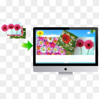 Convert Images To Page-flipping Digital Photo Album - Computer Monitor Clipart