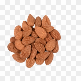 Almonds , Png Download Clipart