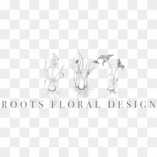 Roots Floral Design - Sketch Clipart