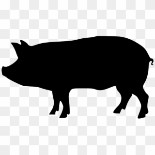 Download Free Pig Silhouette Png Png Transparent Images Pikpng