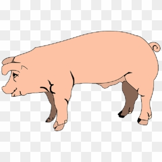 Barn, Farm, Pink, Pig, Side, Animal, Mud, - Cartoon Pig Side View Clipart