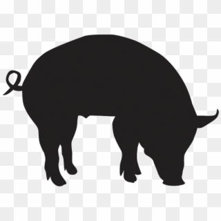 Visiting The Farm - Pig Head Silhouette Clip Art - Png Download