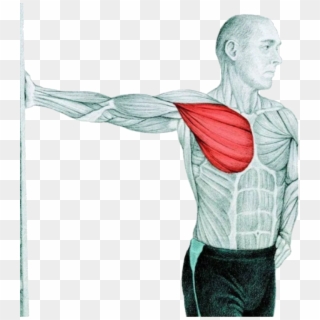 Chest Stretch At The Wall - Chest Muscle Stretches Clipart