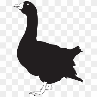 Goose Silhouette - Goose Silhouette Png Clipart