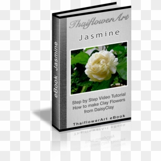 Ebook Jasmine - Garden Roses Clipart