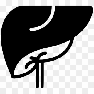 Png File Svg - Liver Icon Png Clipart