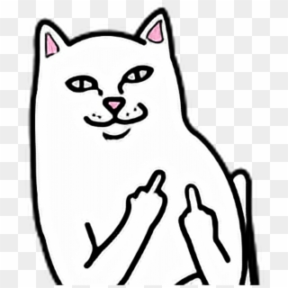#cat #fuck #you #fuckyou # - Middle Finger Cat Png Clipart