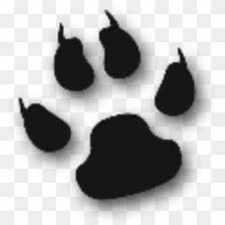 Paw Clipart Animal - Cat Paw Image Transparent - Png Download
