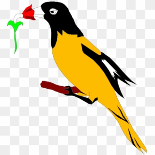 Oriole With Flower Svg Clip Arts 552 X 598 Px - Png Download