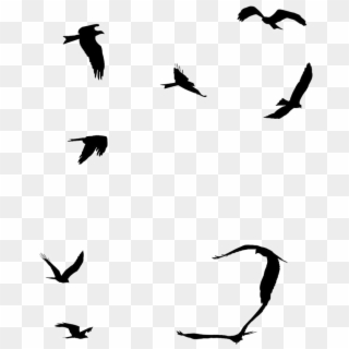 Ocean Birds Png File - Birds Silhouette Flying Away Png Clipart