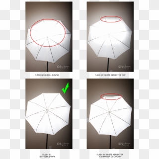 5 Tips For Shooting Off-camera Flash, Pt - Use Light Umbrella Photography Clipart