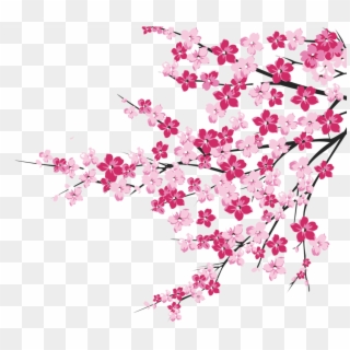 64 Cherry Blossom Tree Branch Cliparts For Your Inspiration - Png Download