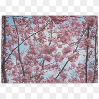 Cherry Blossom Tree Glass Cutting Board - Hola Mayo Clipart