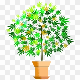 Potted Plant Png - Houseplant Clipart