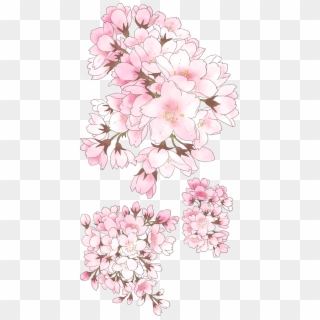 09 Anime Cherry Blossom, Tree Illustration, Botanical - Anime Cherry Blossom Drawing Clipart