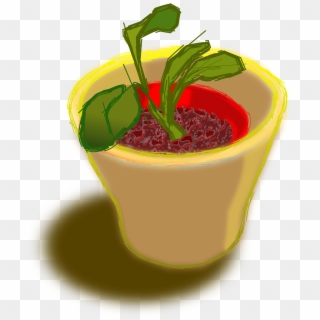 This Free Icons Png Design Of Plant In Two Pots Clipart