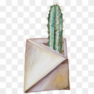 Exquisite Hand Painted Plant Potted Transparent - Cactus Clipart