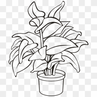 Medium Image - Outline Of A Plant Clipart