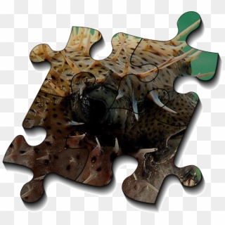 I'll Start To Provide Puzzle Pieces - Jigsaw Puzzle Clipart