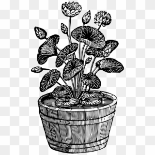 Flowerpot Houseplant Drawing Plants - Black And White Potted Plant Clipart